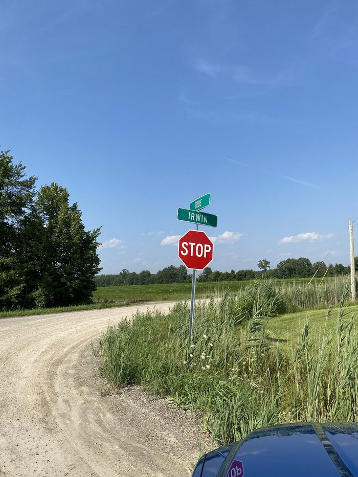 Irwin - July 2021 Photo (newer photo)